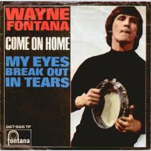 Vinyl / Wayne Fontana - Come On Home