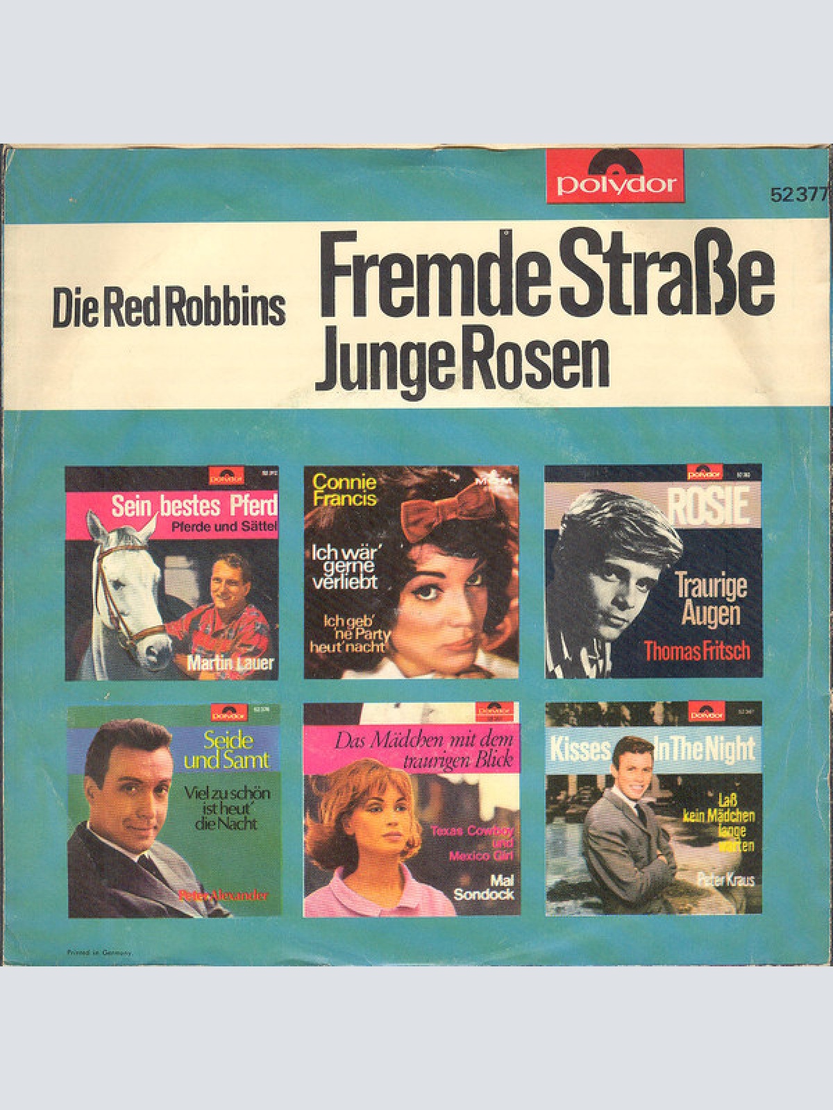 Vinyl / Die Red Robbins - Fremde Straße