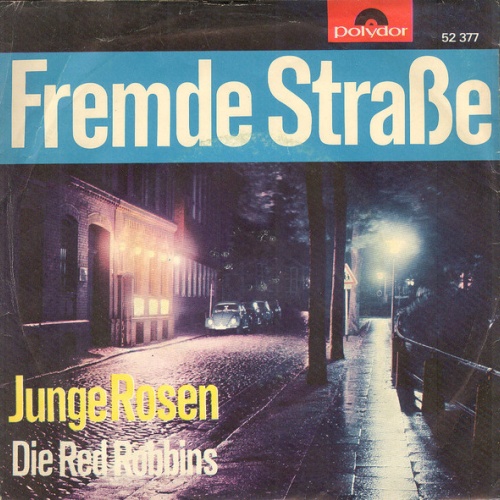 Vinyl / Die Red Robbins - Fremde Straße