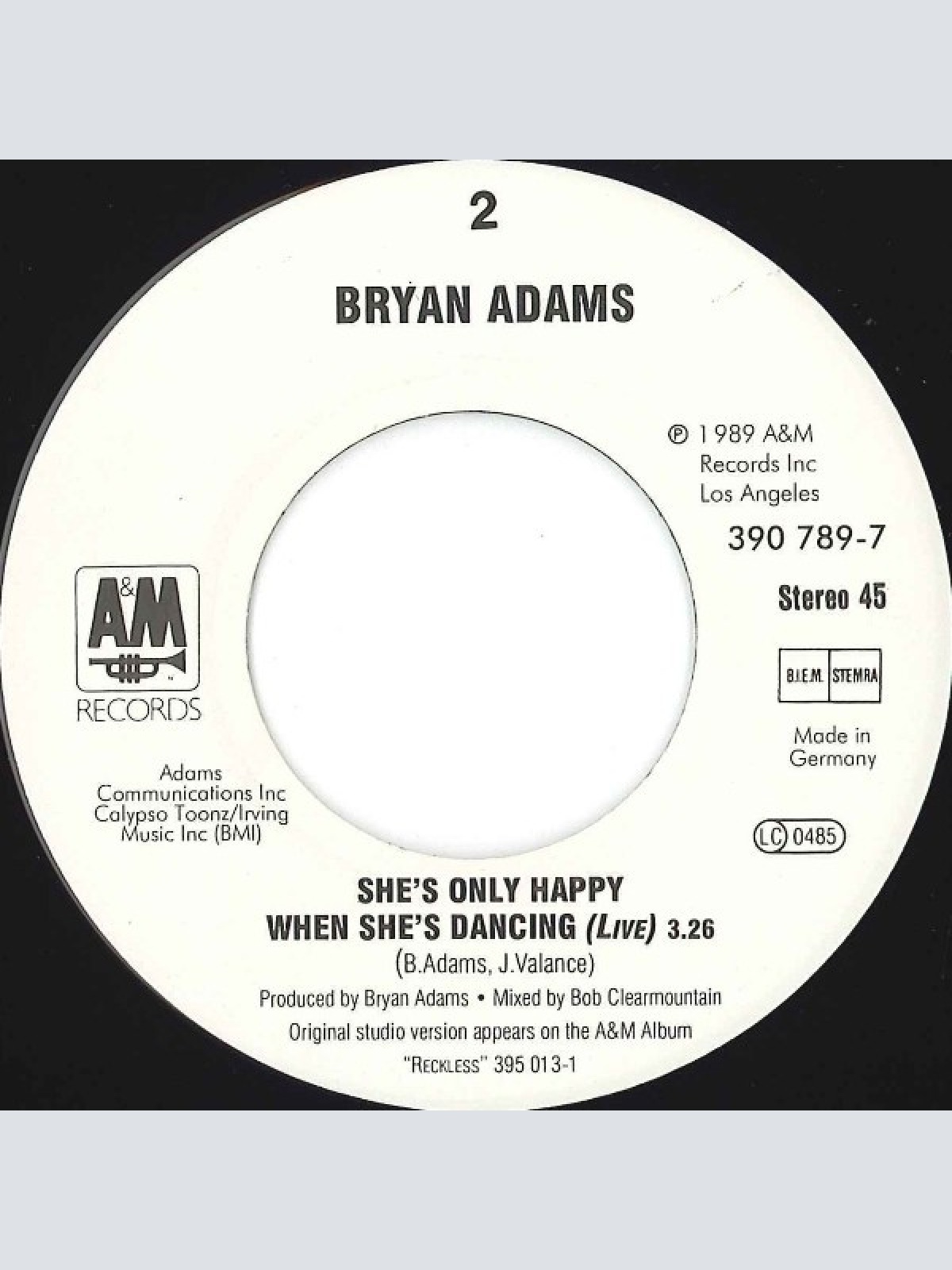 Vinyl / Bryan Adams - (Everything I Do) I Do It For You