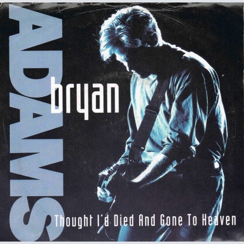 Vinyl / Bryan Adams - Thought I'd Died And Gone To Heaven