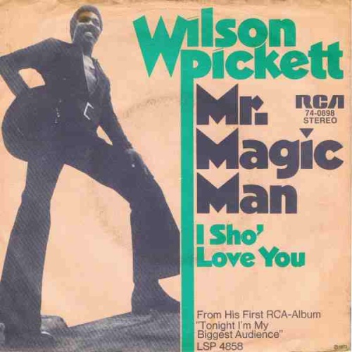 Vinyl / Wilson Pickett - Mr. Magic Man