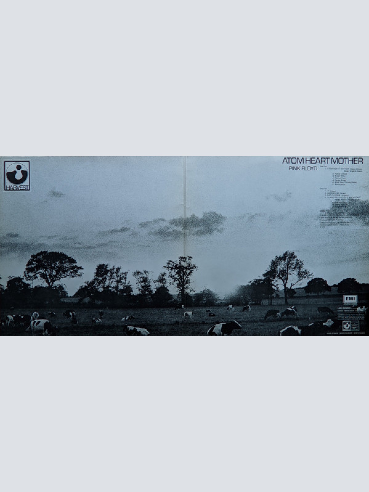 Vinyl / Pink Floyd - Atom Heart Mother
