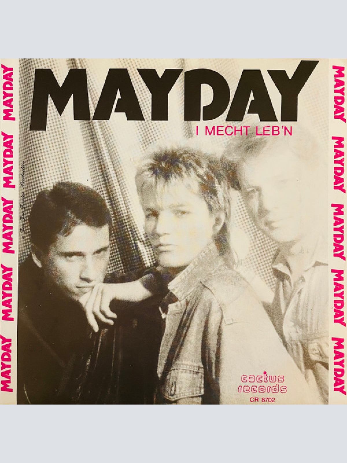 Vinyl / Mayday (22) - I Mecht Leb'n