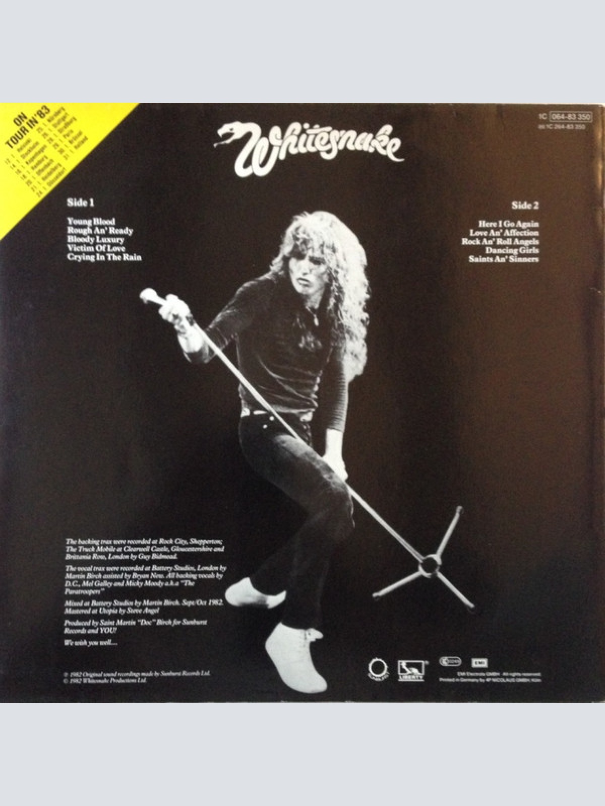 Vinyl / Whitesnake - Saints & Sinners