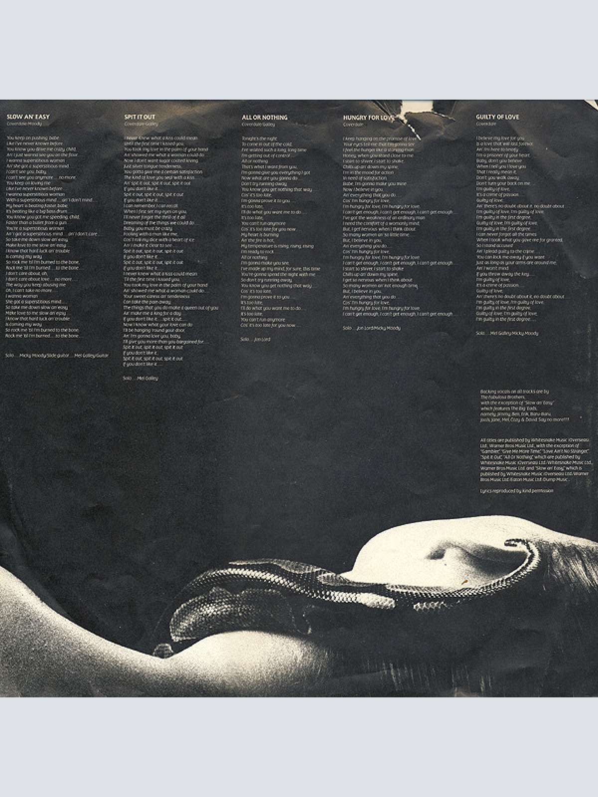 Vinyl / Whitesnake - Slide It In