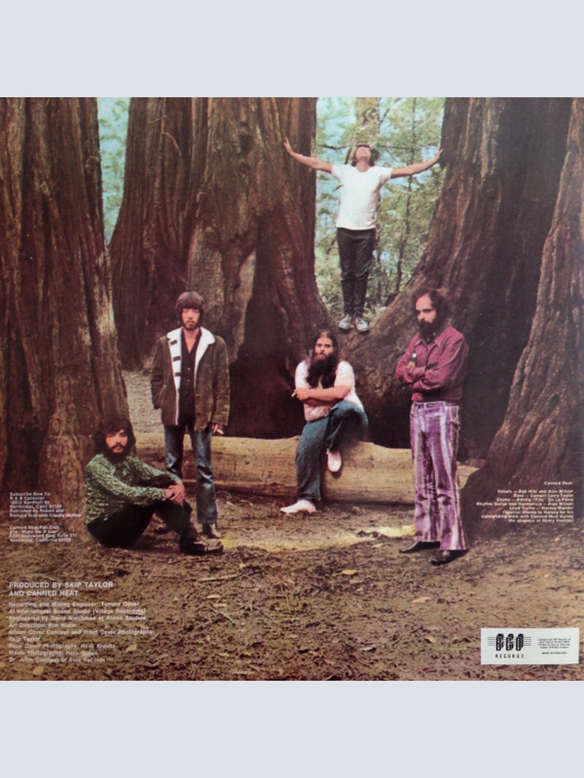 Vinyl / Canned Heat - Future Blues