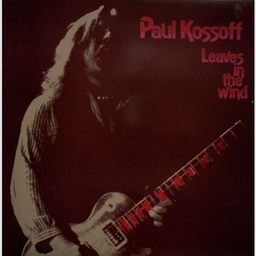 Vinyl / Paul Kossoff - Leaves  In The Wind