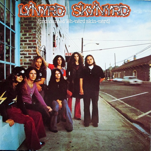 Vinyl / Lynyrd Skynyrd - (Pronounced 'Lĕh-'nérd 'Skin-'nérd)
