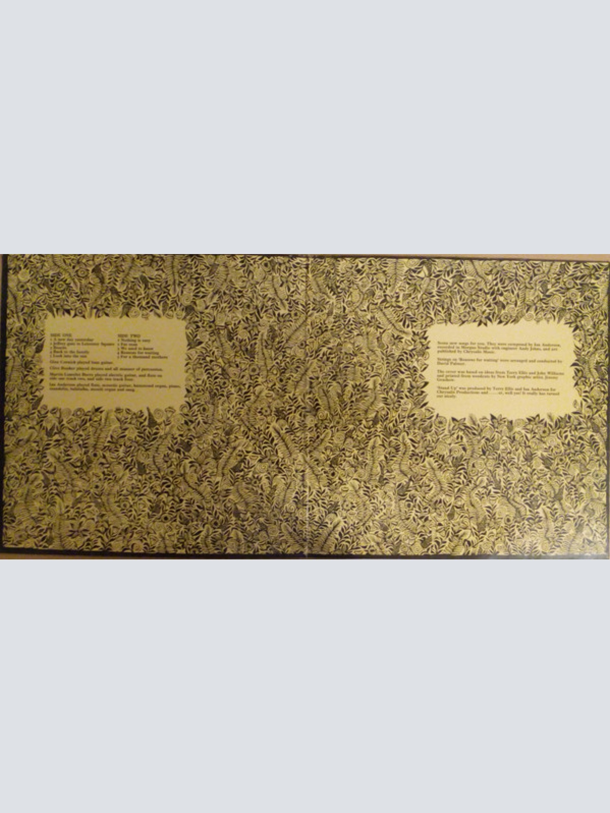 Vinyl / Jethro Tull - Stand Up