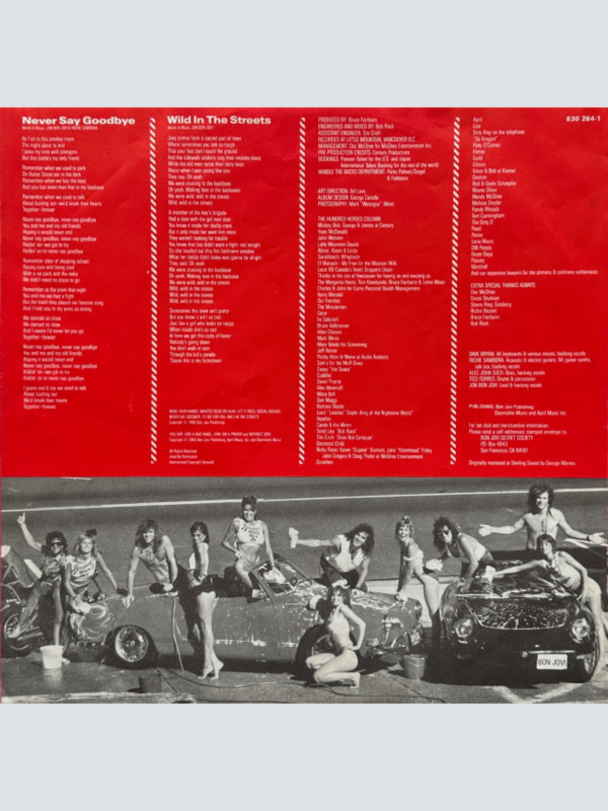 Vinyl / Bon Jovi - Slippery When Wet