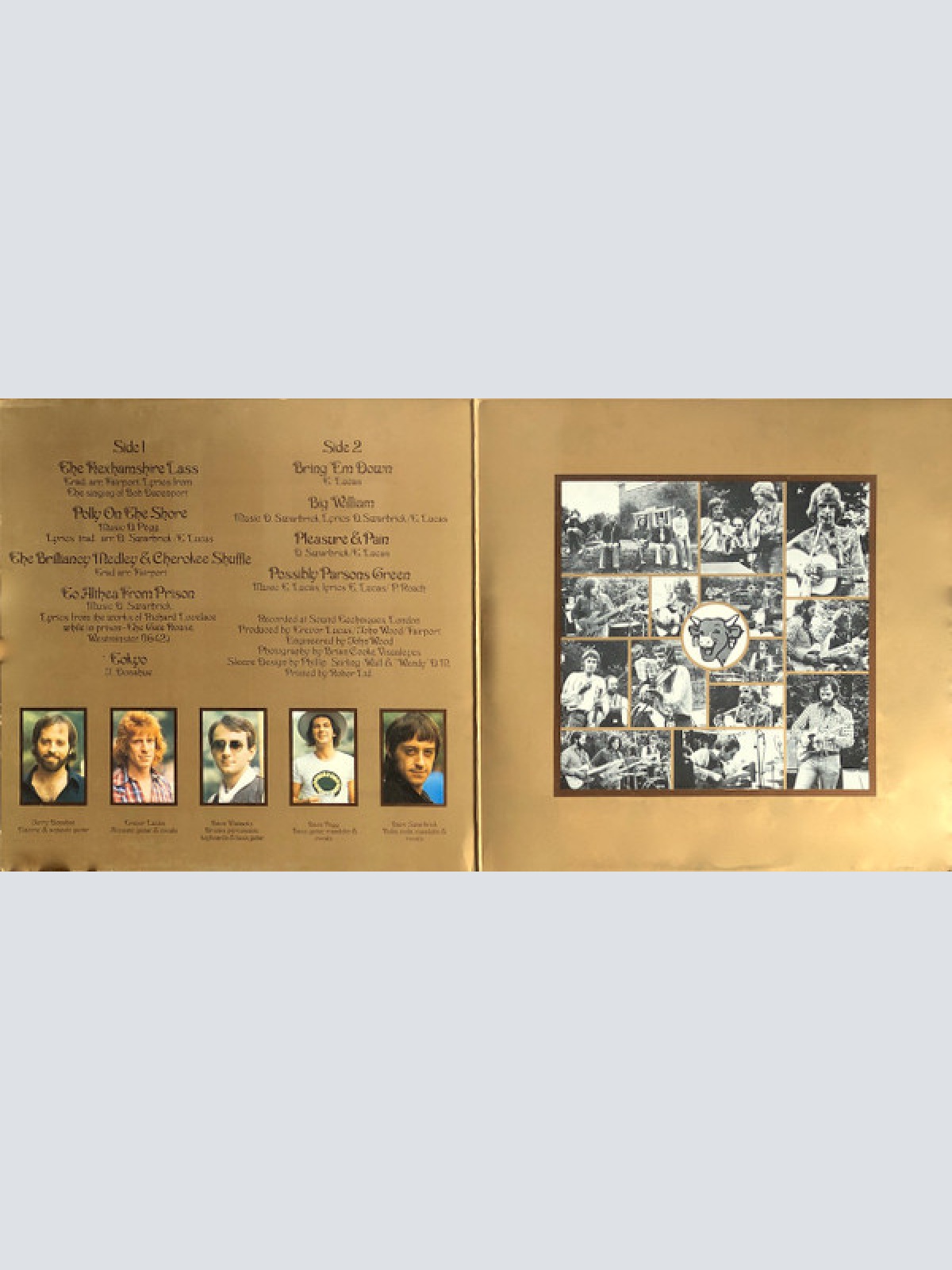 Vinyl / Fairport Convention - Nine