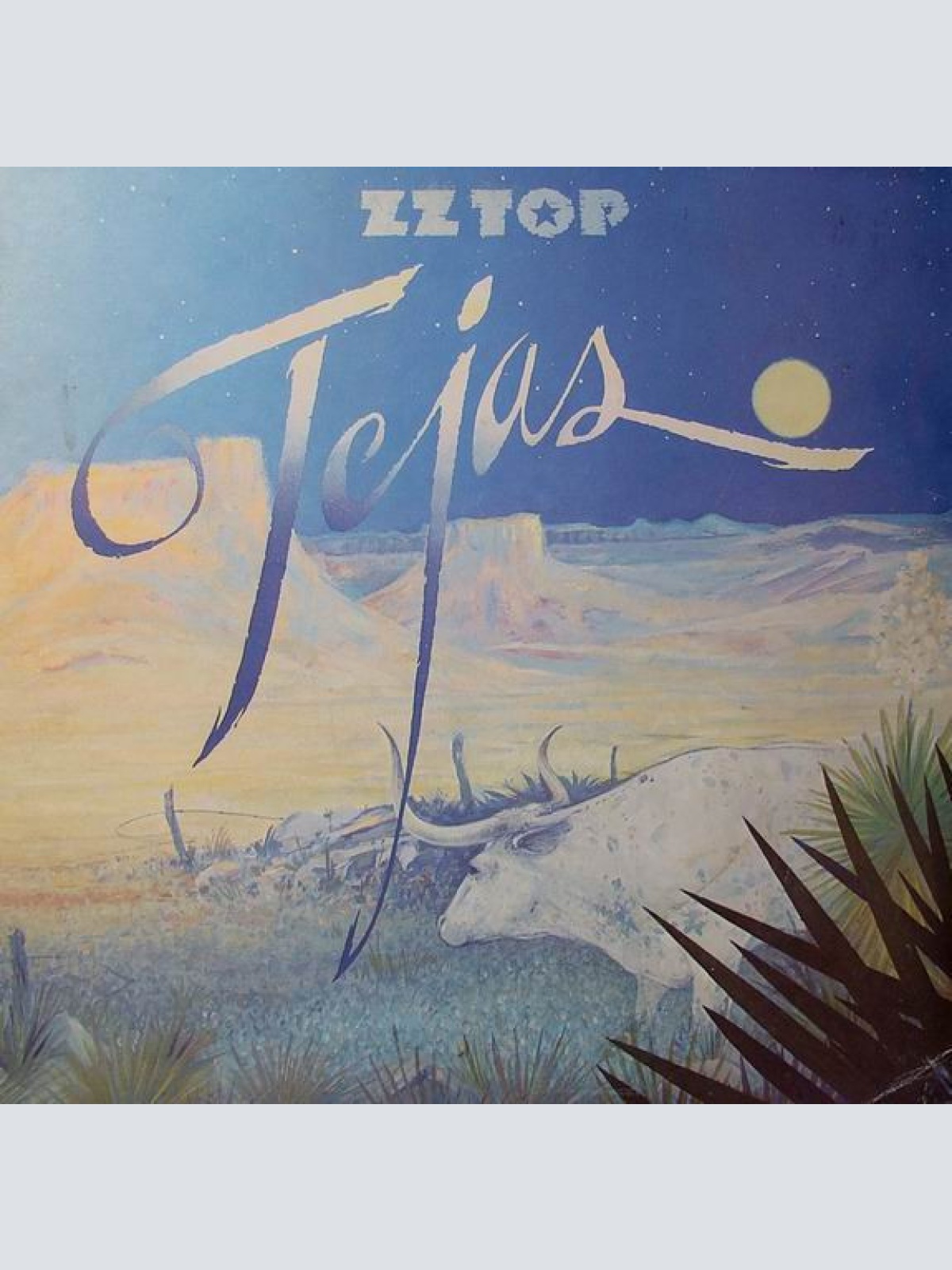 Vinyl / ZZ Top - Tejas