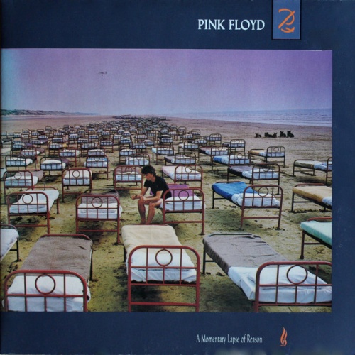 Vinyl / Pink Floyd - A Momentary Lapse Of Reason