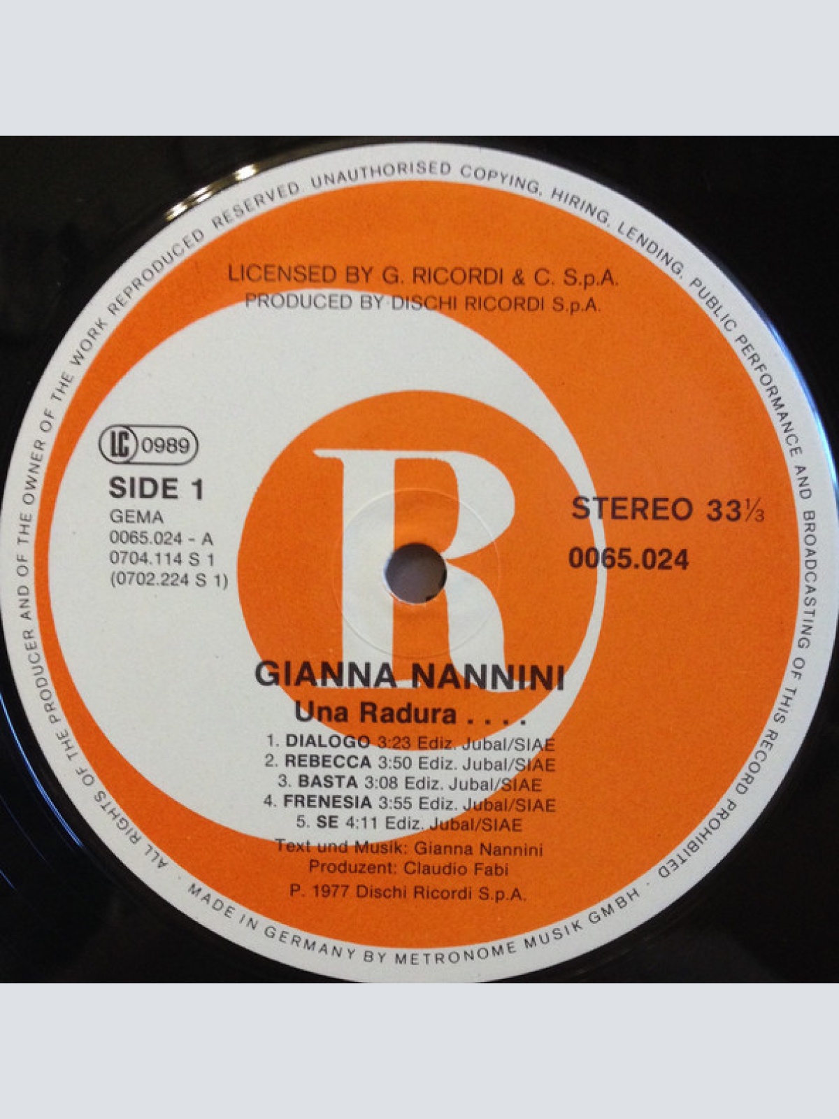 Vinyl / Gianna Nannini - Una Radura ...