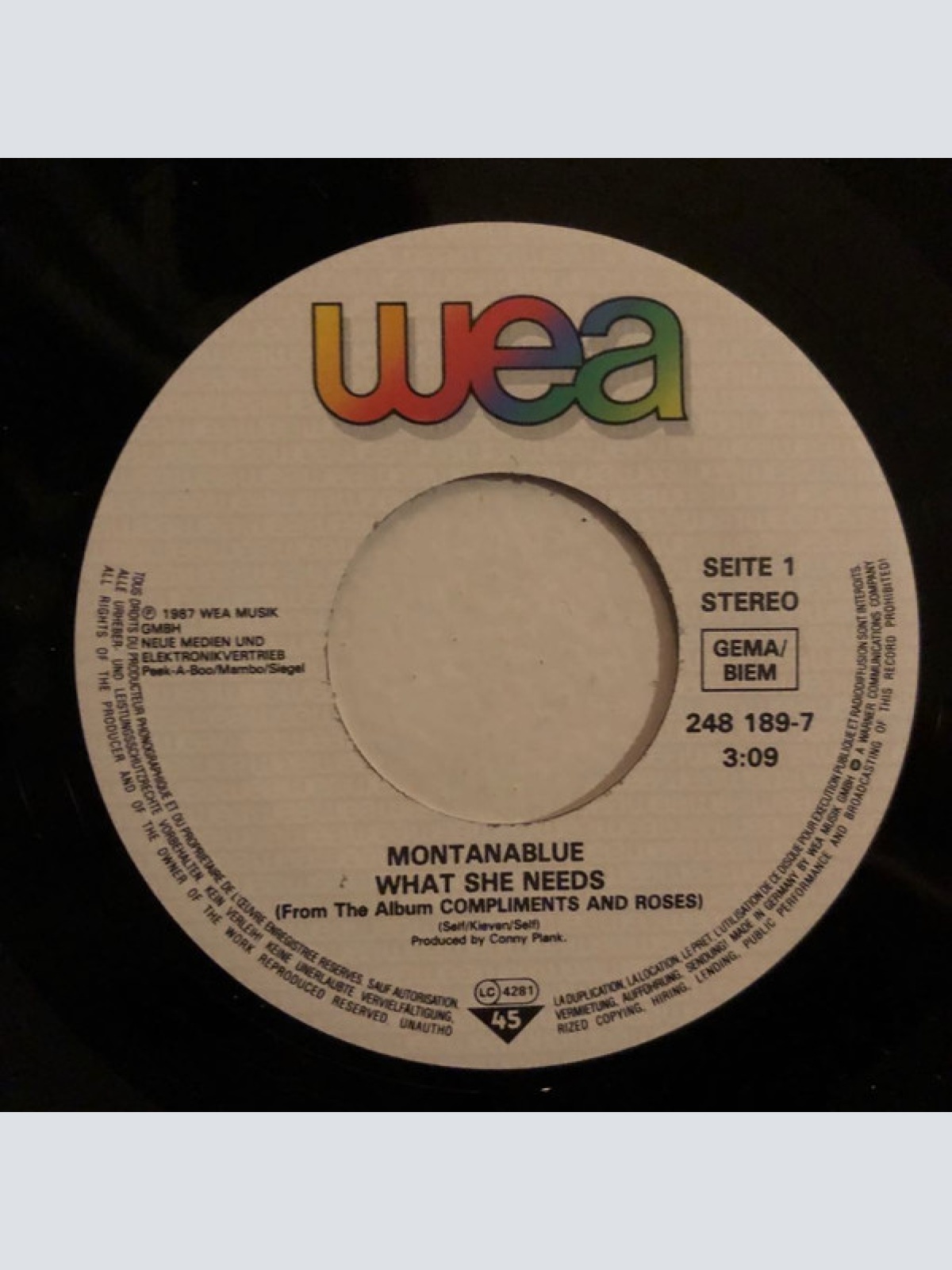 Vinyl / Montanablue - What She Needs