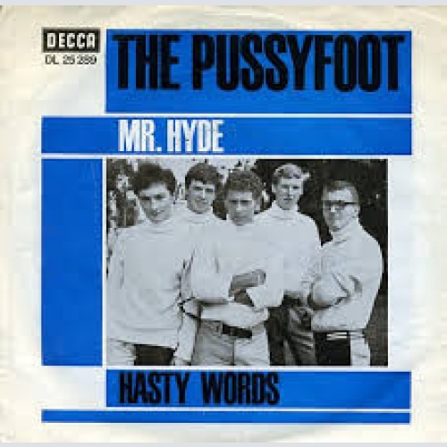 Vinyl / The Pussyfoot* - Hasty Words / Mr. Hyde