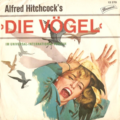 Vinyl / The Surf Riders (4) - The Birds