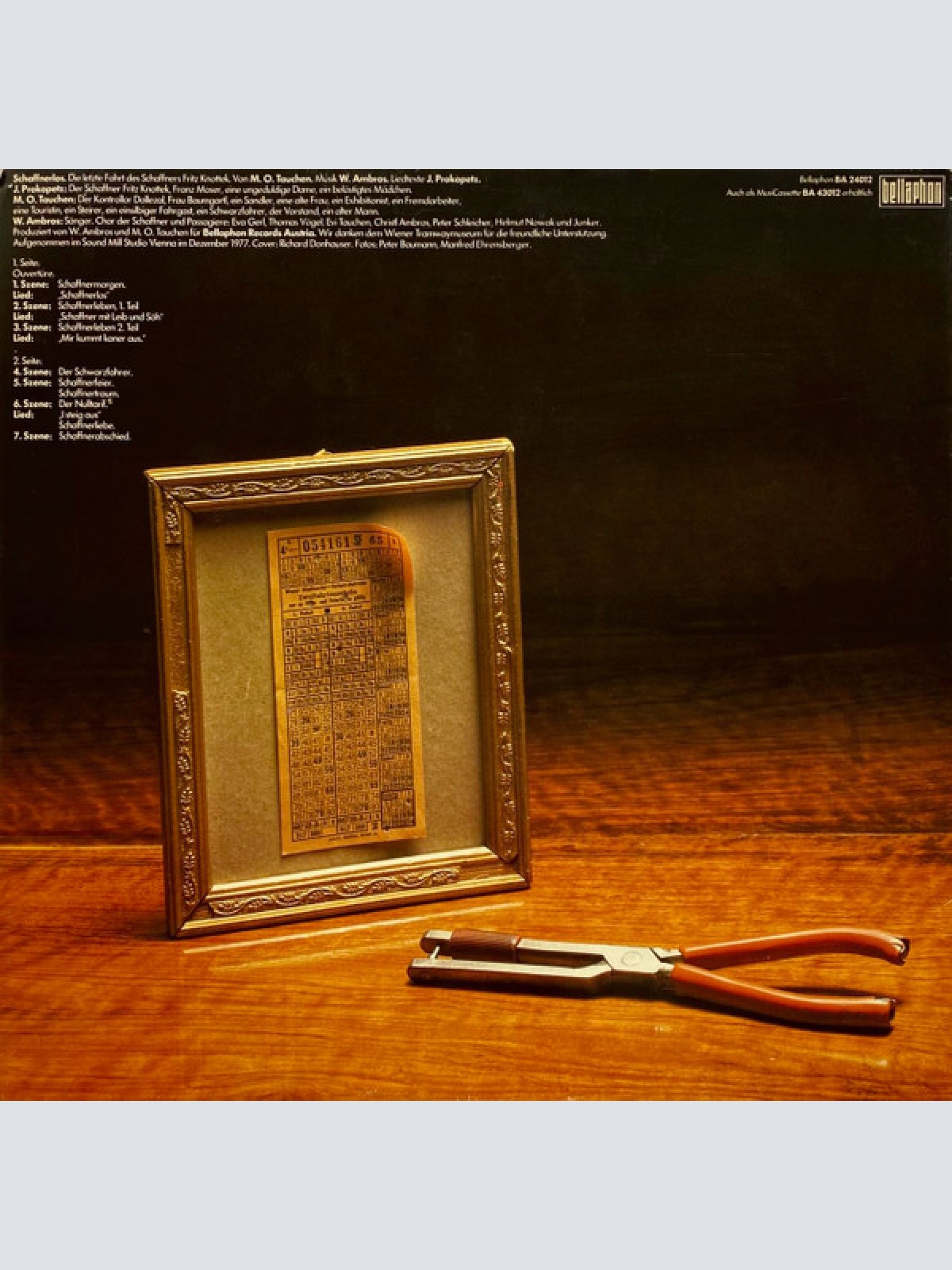 Vinyl / Ambros* / Tauchen* / Prokopetz* - Schaffnerlos