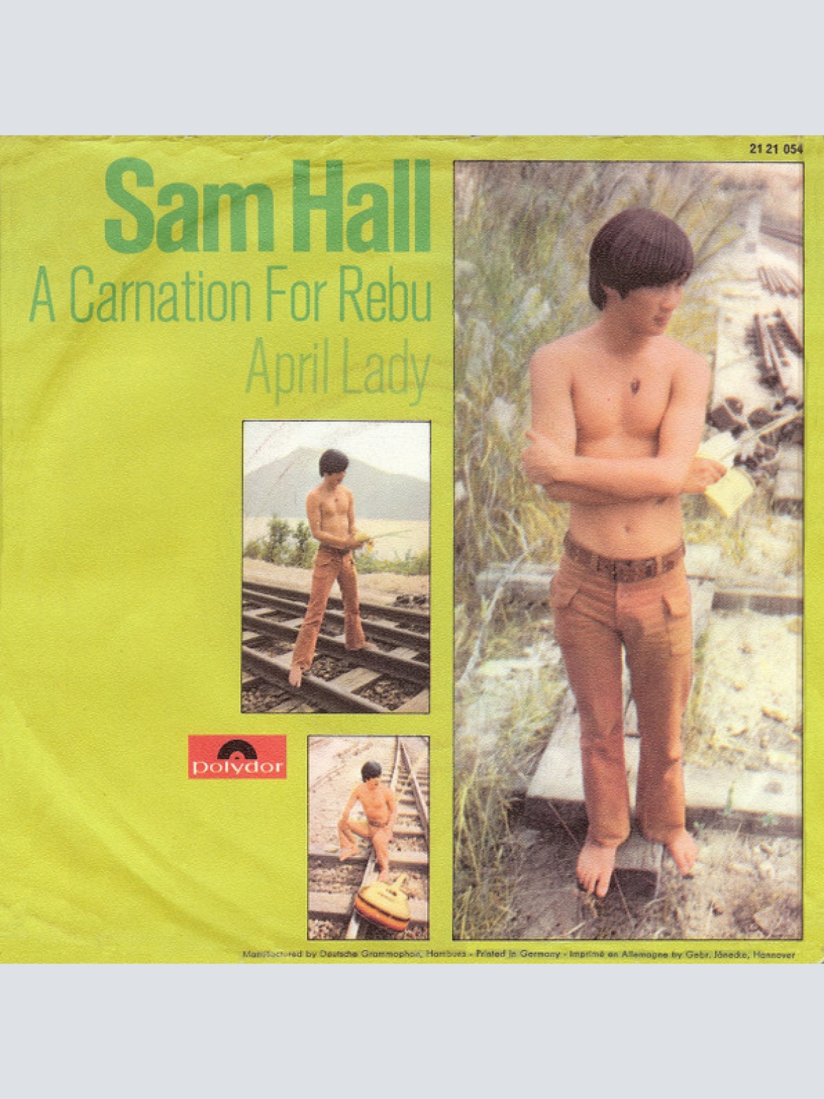 Vinyl / Sam Hall (4) - A Carnation For Rebu