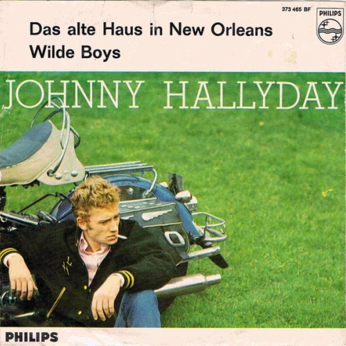 Vinyl / Johnny Hallyday - Das Alte Haus In New Orleans / Wilde Boys