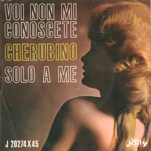 Vinyl / Cherubino (3)* - Voi Non Mi Conoscete