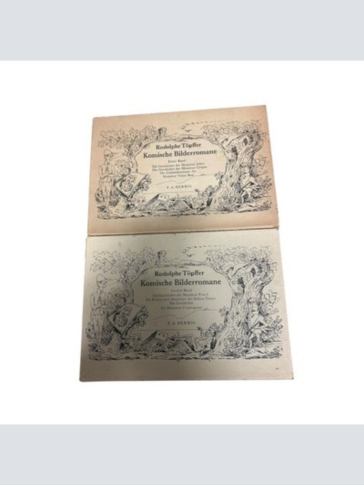 9313 Rodolphe Töpffer KOMISCHE BILDERROMANE. 2 BÄNDE (1. UND 2. BAND) HC +Schub