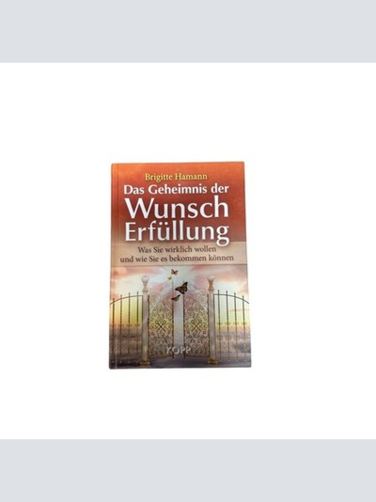6407 Brigitte Hamann DAS GEHEIMNIS DER WUNSCHERFÜLLUNG was Sie wirklich woll