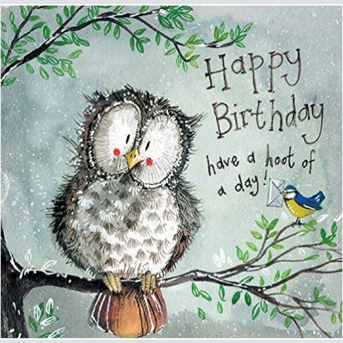 Alex Clark Hoot of a Day Eule zum Geburtstag  140x140 mm incl. Umschlag  0029
