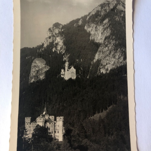 Blick auf Königsschlösser Hohenschwangau und Neuschwanstein mit Tegelberg 20331G