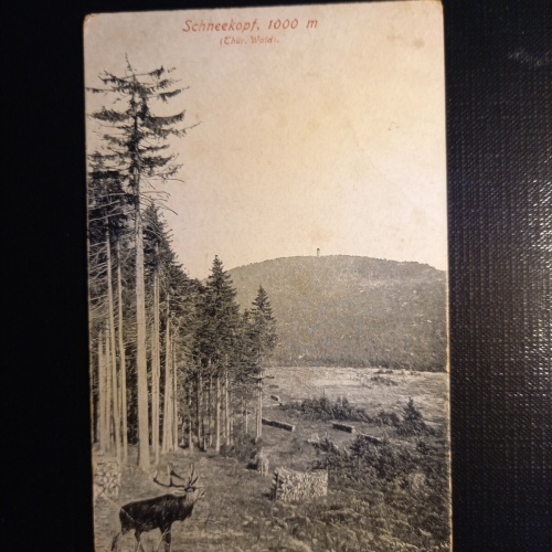 Schneeketten, Thür.Wald 402765 gr C