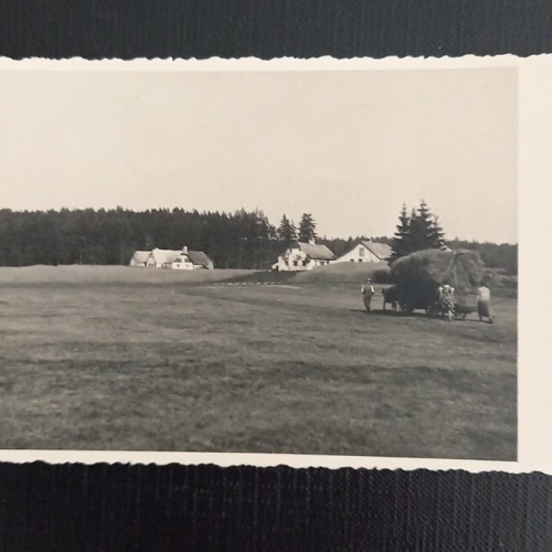 Haunsberg Kaiserbuche 650280 Ga E