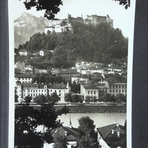 Salzburg Stadtansicht Hohensalzburg Berge Salzach Zweige JW 753214