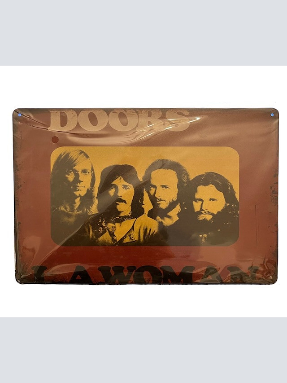 Nostalgie Vintage Retro Blechschild "The Doors"   30x20    000AI
