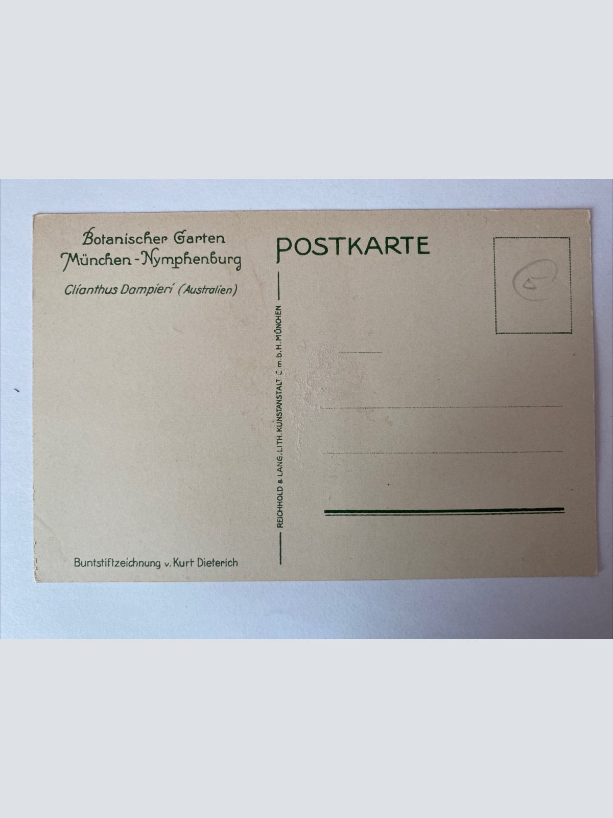 Clíanthus Dampíerí, Botanischer Garten München-Nymphenburg, Blume, 400558 AH