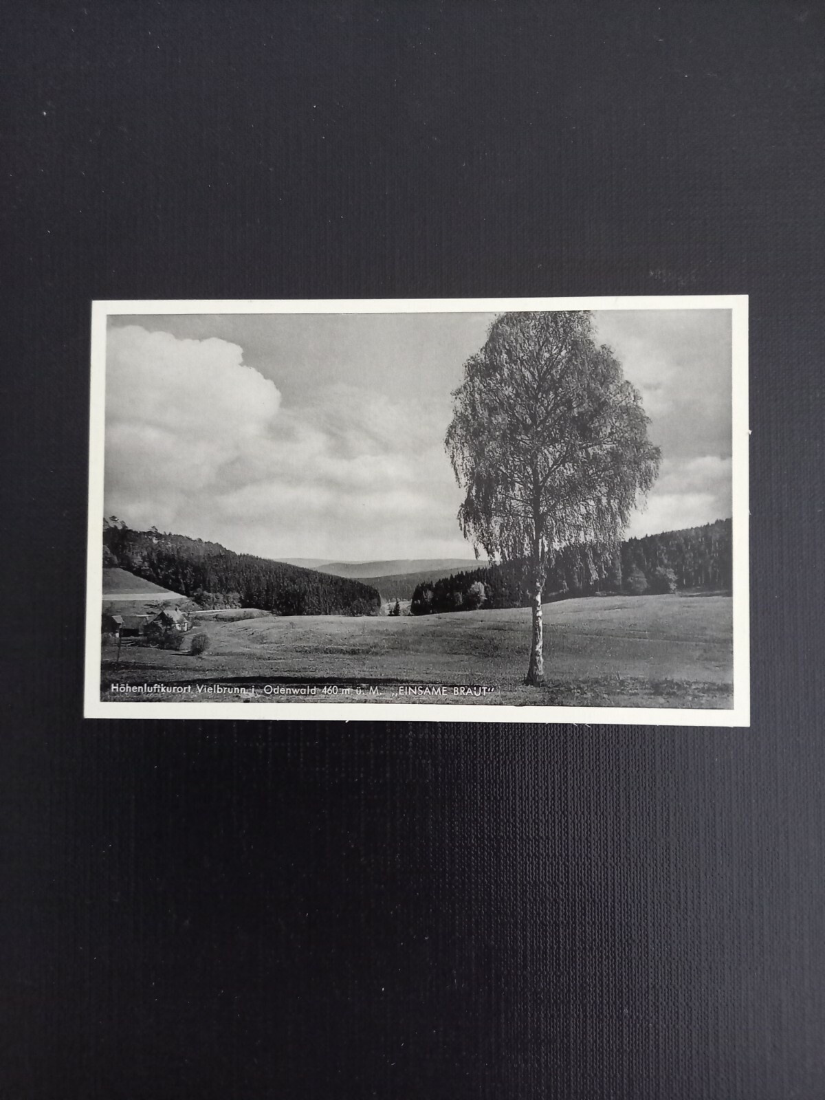 Vielbrunn im Odenwald 400526 gr A