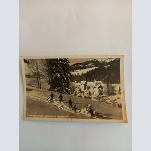 Niederösterreich,  Lackenhof a.Ötscher Skifahren Ski Skifahrer 541