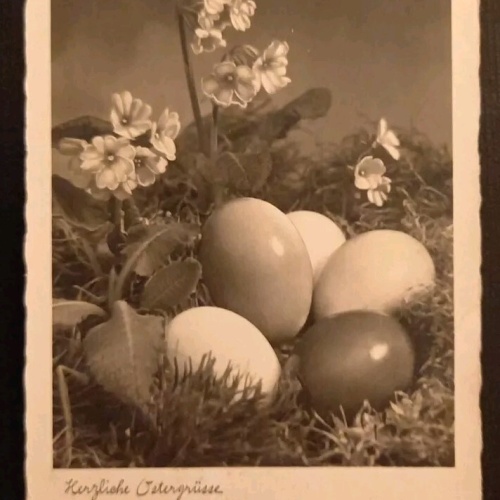 Ostergrüße Ostereier Mit Schlüsselblumen 3210 gr I