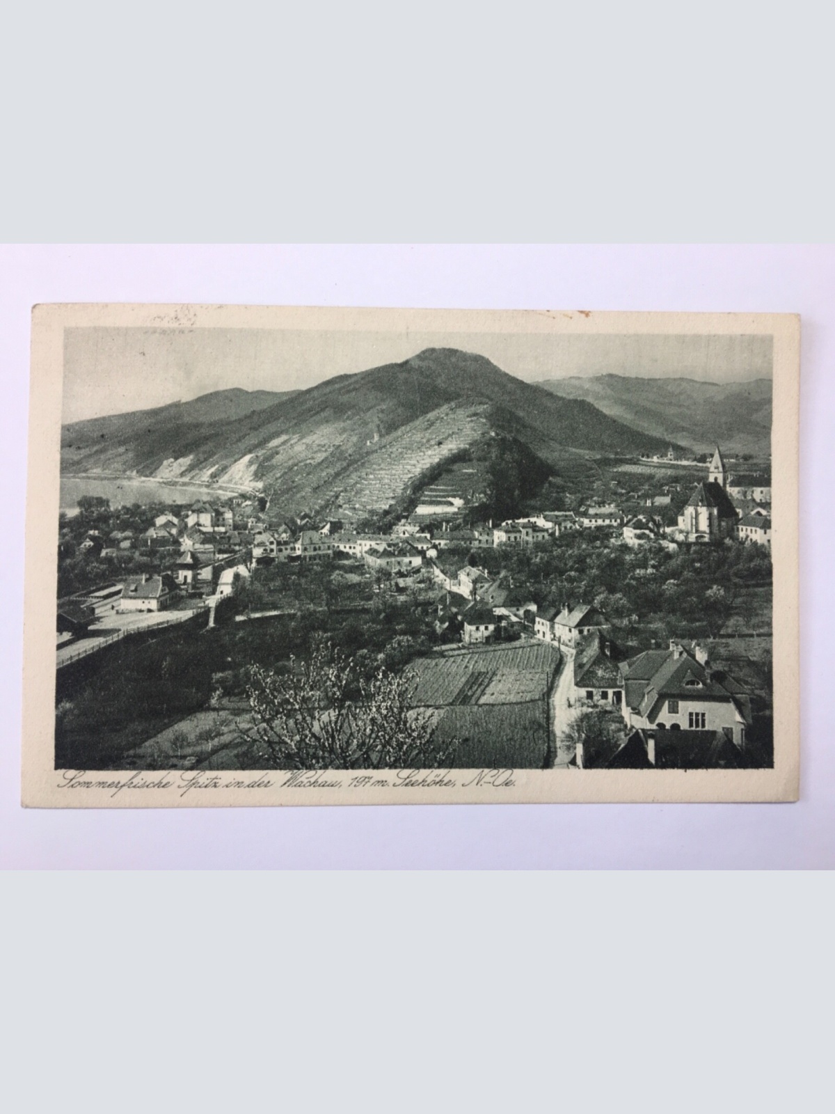 Spitz in der Wachau 616 ShNö