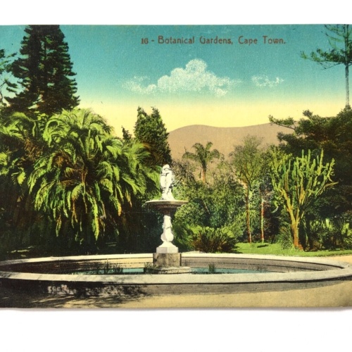 Kapstadt Cape Town - Botanical Gardens - Botanische Gärten & Brunnen 40243 TH