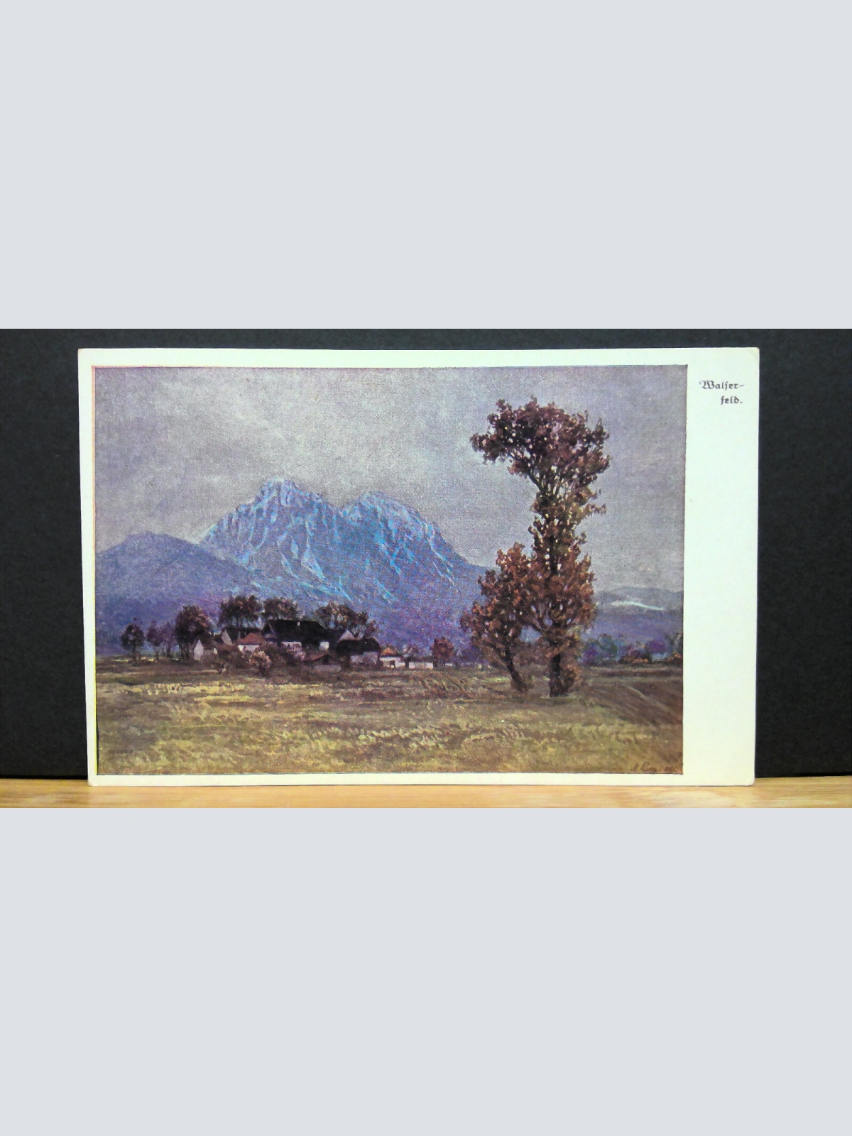 Salzburg Der Birnbaum auf dem Walserfeld Gemälde JW 650113 C
