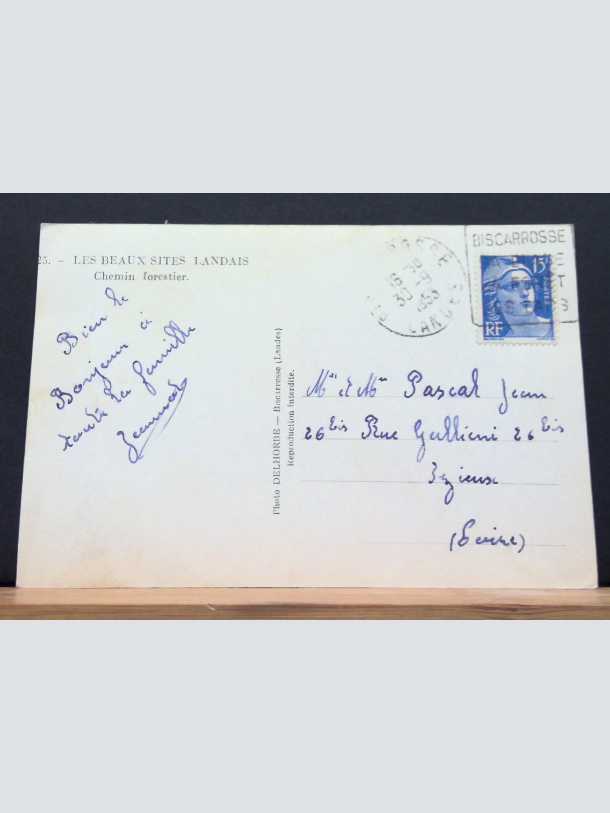 Les Beaux sites Landais Chemin forestier Waldweg JW 650329 C