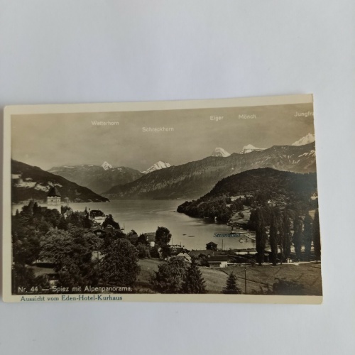 Schweiz Spiez mit Alpenpanorama 683