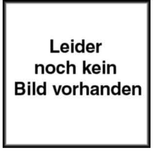 1119 REMBRANDT VAN RIJN, ALBRECHT DÜRER, LEONARDO DA VINCI HC