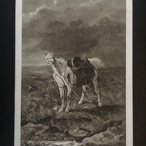 Er wiehert umsonst (J.v.Berres) - Hiaba Nyerit - Pferd ohne Reiter 270067 TH