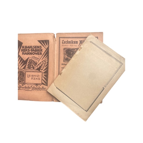 4592 ILLUSTRIERTER FÜHRER DURCH DIE STÄDTE LINDAU UND BREGENZ AM BODENSEE UND