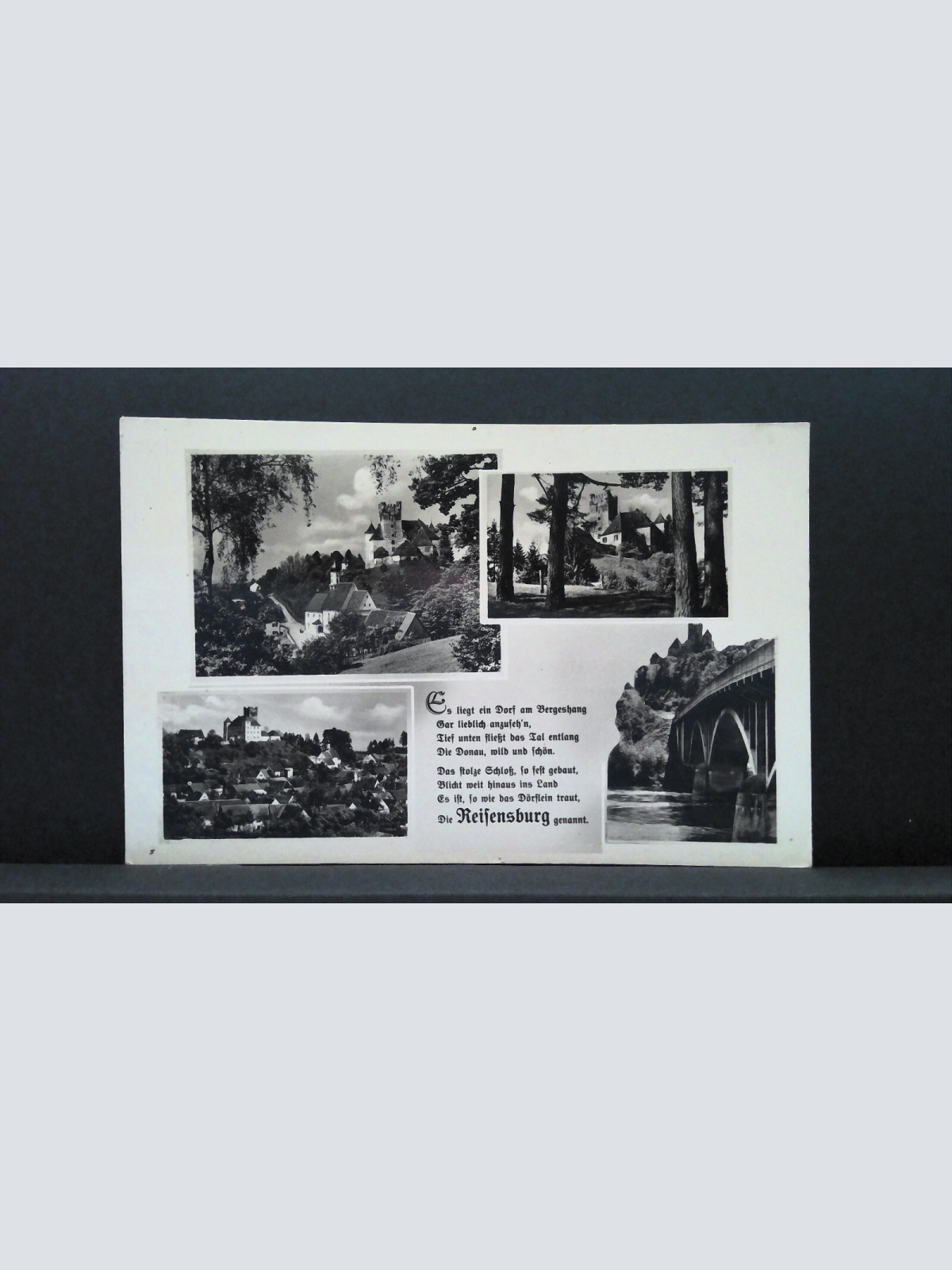 Reifensburg Donau JW 500196 C