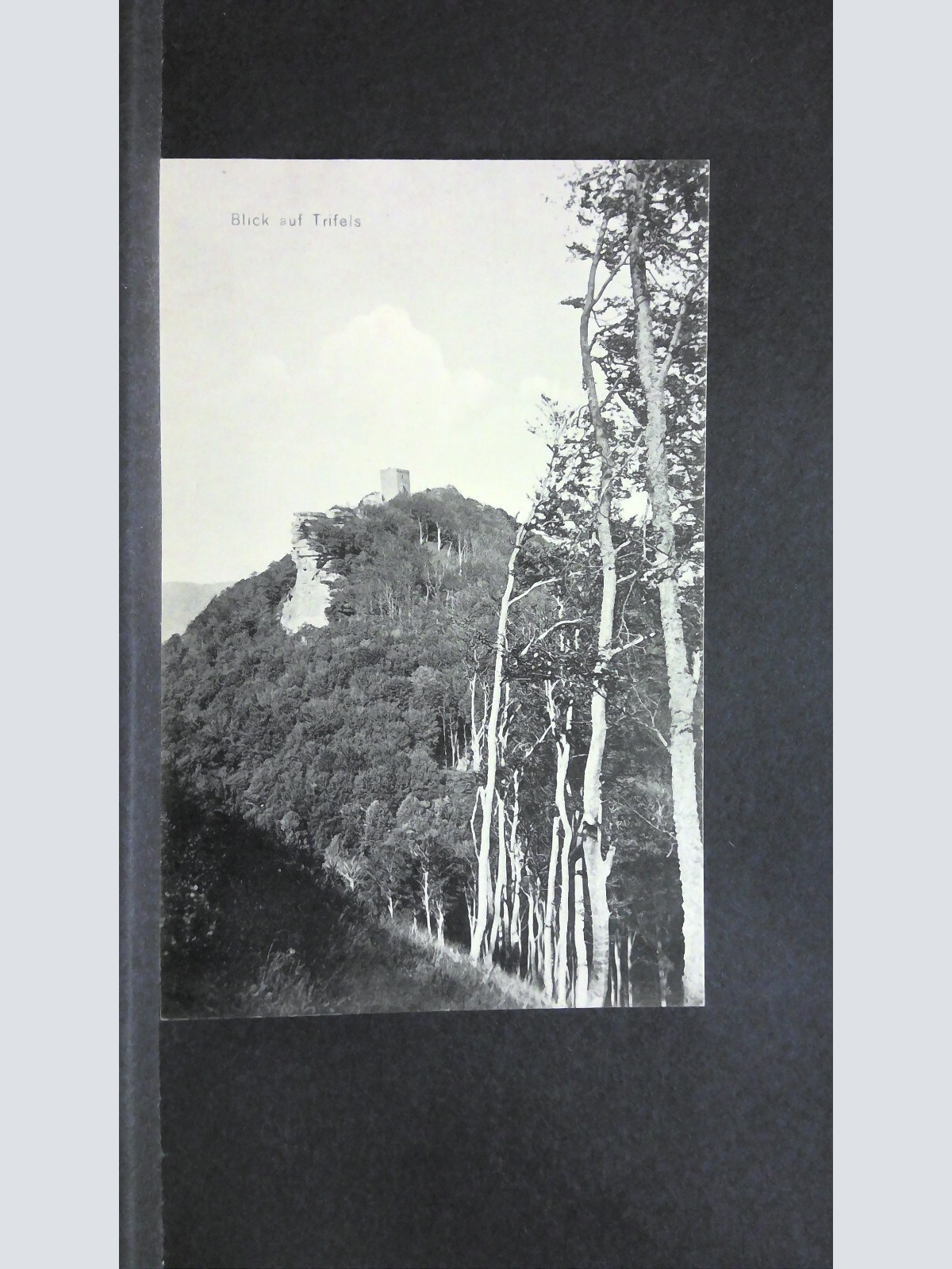 Blick auf Trifels Berg Wald 140467 jw J