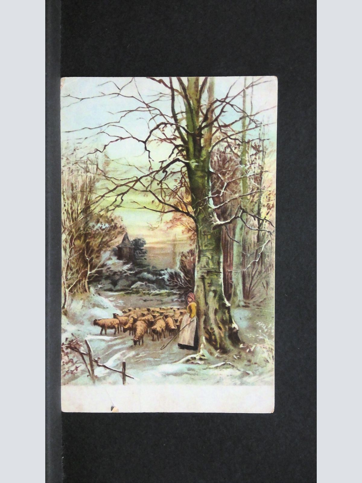 Im Wechsel der Zeiten Winter Schafherde 140414 jw J