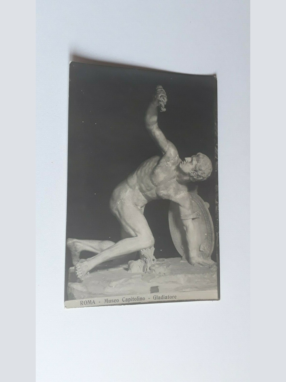 Roma - Museo Capitolino - Gladiatore.20316